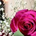 َّ. (@thani89md) Twitter profile photo َّ. (@thani89md) Twitter profile photo