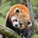 Tanya Mae Bennett- - @sexyma0504 - Twitter