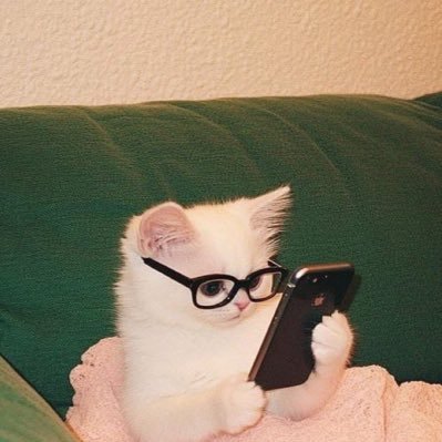 lees00ahhhh's profile picture. 