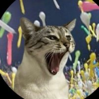 🐈‍⬛黒猫のん🐈‍⬛ライヤ🐈 (@kuronon2nd) Twitter profile photo
