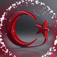 Ayşe (@ayeerde98610078) 's Twitter Profile