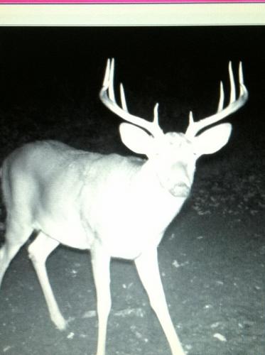 BJToth1's profile picture. 