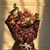Nuoovnuoov (@nuoov12936) 's Twitter Profile