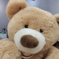 にし・し (@nishi_he_ikou) 's Twitter Profile Photo にし・し (@nishi_he_ikou) 's Twitter Profile Photo