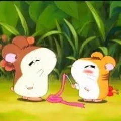 Misanga1105's profile picture. 出戻って彼らと最高で最強な人生を送れそうなSUPER EIGHTERです 一生酒飲んでワイワイ笑顔でやっててくれよな