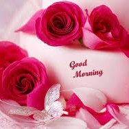 grant21865's profile picture. 普通の気楽な人。努力は報われる。