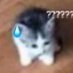 SyntheticBird (@syntheticbird_) Twitter profile photo SyntheticBird (@syntheticbird_) Twitter profile photo