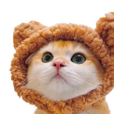 t_nyaka56's profile picture. サッカー 、映画好き 何よりもラジオを愛してる『アイラブRADIO♡』時々下ネタ、闇ポストをぶっ込みます 許してちょ🤍