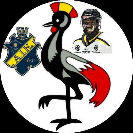 43LinjeAIK's profile picture. VARJE DAG, LIVET UT, FÖREVIGT SVART O GUL