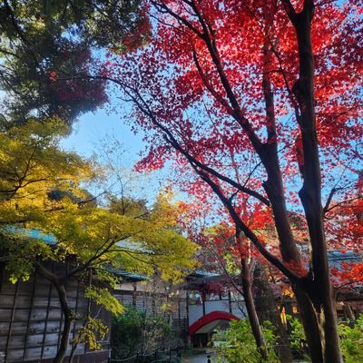 satoさんのプロフィール画像
