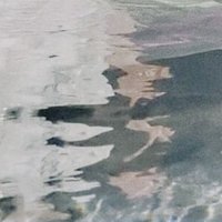 かいみ (@kos0eu) Twitter profile photo