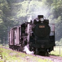 Yoppy　金中線天地野毛小石　黒　４本 楽天市場】四角飛び石・ステップストーン四角飛び石 ピンク