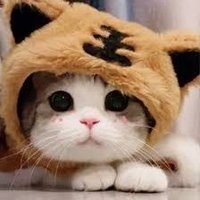 每日鉴赏 (@ndds99) 's Twitter Profile