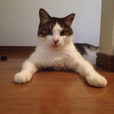 銀さんのプロフィール画像