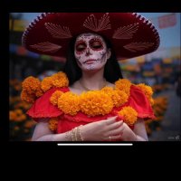 Helen Page (@brossentialoils) 's Twitter Profile Photo