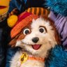 chiiho128's profile picture. 頑張り屋さんの🐶がすき