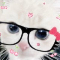 พิโบ้ 🐶🍅🐱 (@vibbowp) 's Twitter Profile