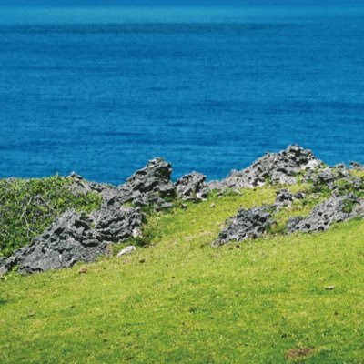 vJIknK8pCHC1AO0's profile picture. // 吉岡秀隆．田中圭．松下洸平．中村倫也(敬称略) //