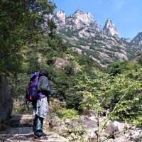 Noor Husna (@hushusnana) 's Twitter Profile Photo