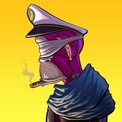 0xTensorX7's profile picture. 