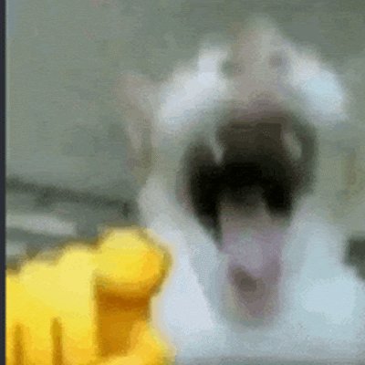 daballman1's profile picture. 