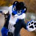 Snepík Littlepaw ➡️ Kraz, Česfur (@littlepawsnep) Twitter profile photo Snepík Littlepaw ➡️ Kraz, Česfur (@littlepawsnep) Twitter profile photo