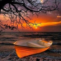 Alev demirkol (@alevli3434) 's Twitter Profile Photo