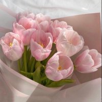 Dr AG🌸 (@pearlekums) 's Twitter Profile