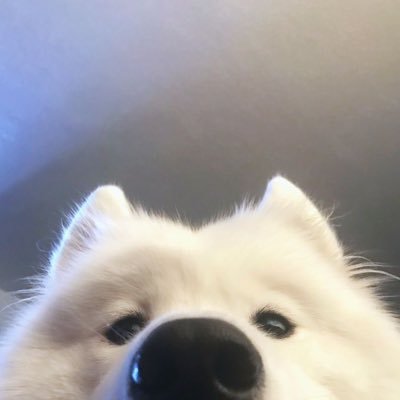 Naeunswsy's profile picture. 