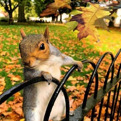 Beardwd's profile picture. ❤️🇺🇦