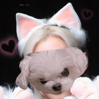 𝖕𝖎𝖑𝖎𝖝 (@pilixxx_pipi) 's Twitter Profile