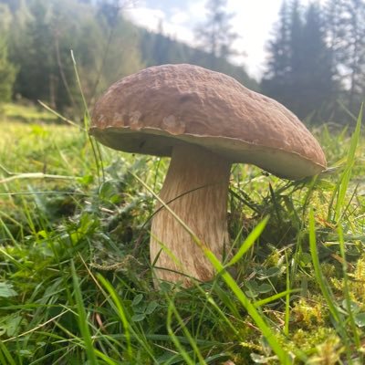 Nur mehr als spontaner Beobachter auf X 👀 hier gibts zu viel Alu 😜- jetzt auf BlueSky