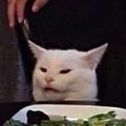 kakusq's profile picture. 大学生