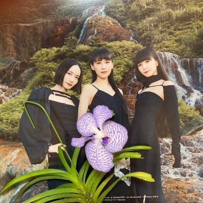 PTA三年目、Perfumeの親世代、孫二人のじいじ、ガーデニング歴30年、家庭菜園20年、Perfumeライブとガーデン巡りで良く旅に出ます。