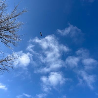 native090's profile picture. 