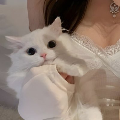 ทัก DM ส่งรูปเลยค่ะ | นัดจริงลับๆ | อยู่เชียงใหม่นะคะ :)