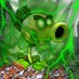 REPEATER (i am so epic) (@galaxymutant2) Twitter profile photo REPEATER (i am so epic) (@galaxymutant2) Twitter profile photo