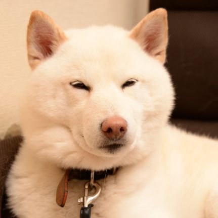 かっこいいものとかわいいものと堀北真希が好き
戦争とあなたが嫌いです
写真のようなもの→#ぼりよしファーム
改造→#ぼりエイト