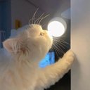 Stephen Thrower - @StephenThr71789 - Twitter