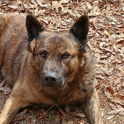 KKline331's profile picture. 