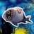 SharkB0o's profile image