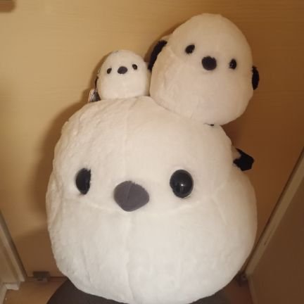 emitoto1123's profile picture. 