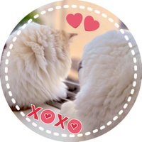 おぐ (@m_ogu_m) 's Twitter Profile Photo おぐ (@m_ogu_m) 's Twitter Profile Photo