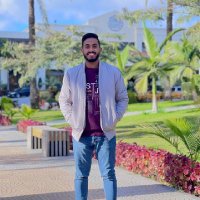 Mohamed Mostafa (@mohamed71629219) 's Twitter Profile
