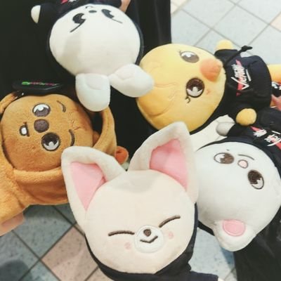 mayuka48824649's profile picture. Stray Kids♡I.N♡マンネズ推し🦊🐶♡
大人STAY(•ө•)
エクディズ⇨🐥🦖🐱♡ NEXZ⇨🐿️☀️