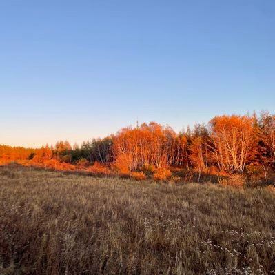 juejiang1998's profile picture. biubiu～