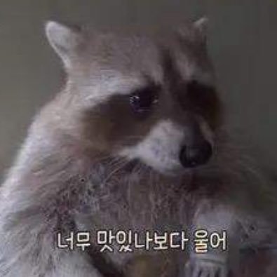 가능충
