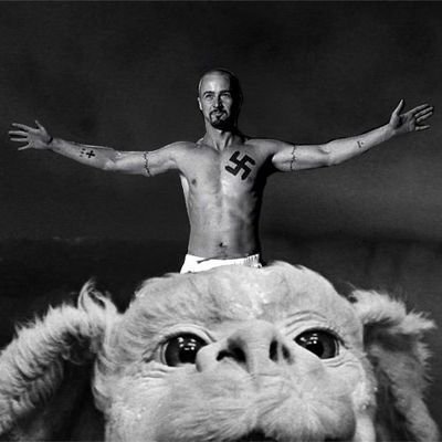 veryracistmale's profile picture. I block my followers.
Shut up.