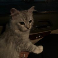 M (@druusy__) 's Twitter Profile