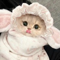 샤뷰 (@shinyview) 's Twitter Profile Photo 샤뷰 (@shinyview) 's Twitter Profile Photo